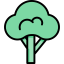 Broccoli icon 64x64