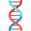 Dna icon 64x64