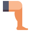 Leg icon 64x64