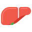 Liver Symbol 64x64