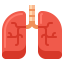 Lungs icon 64x64