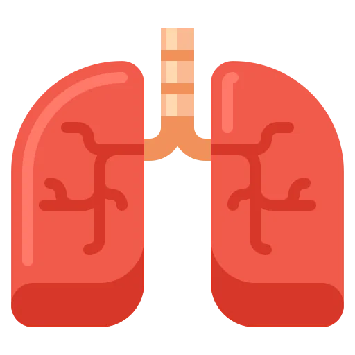 Lungs icon