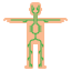 Lymphatic vessel icon 64x64