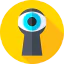 Spying icon 64x64