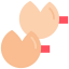 Fortune cookie icon 64x64