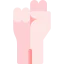 Protest icon 64x64
