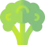 Broccoli biểu tượng 64x64