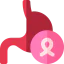 Stomach icon 64x64
