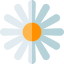 Flower icon 64x64