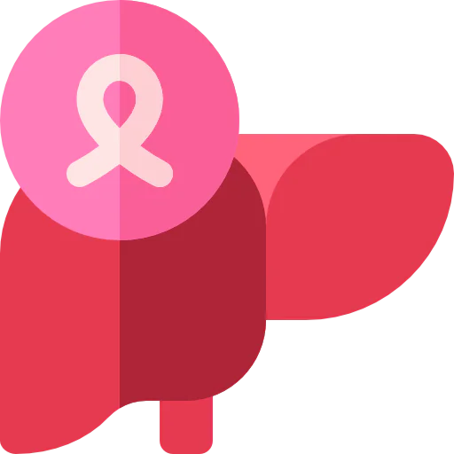 Liver icon