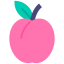 Plum icon 64x64