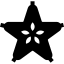 Carambola icon 64x64