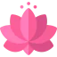 Lotus flower icon 64x64