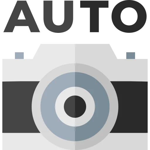 Auto icon