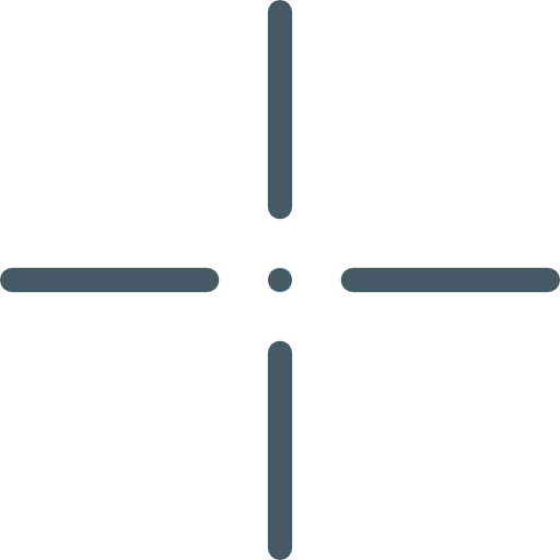 Precision icon