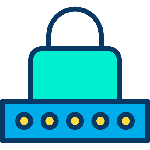 Password icon