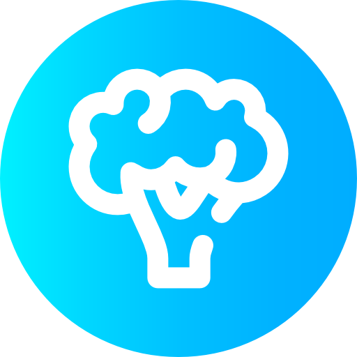 Broccoli icon