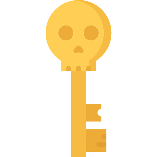 Key icon