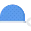 Bandana icon 64x64