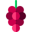 Grapes icon 64x64
