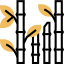Bamboo icon 64x64