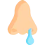Runny nose icon 64x64