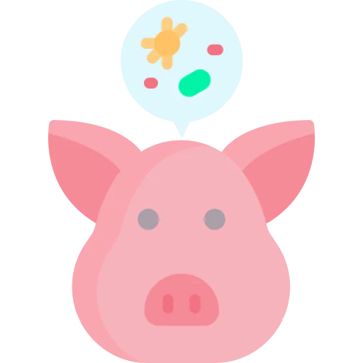 Pig icon