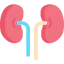 Kidney Symbol 64x64