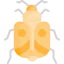 Insect іконка 64x64