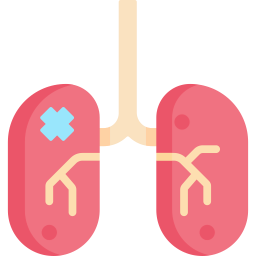 Kidney icon