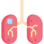 Kidney Symbol 64x64
