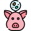 Pig icon 64x64