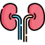Kidney Symbol 64x64