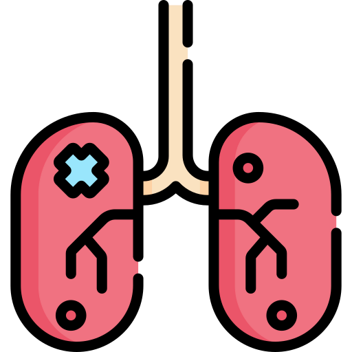 Kidney icon