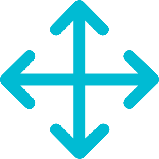 Move icon