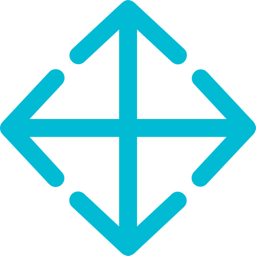 Move icon