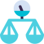 Scale icon 64x64