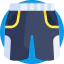 Shorts Ikona 64x64