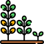 Sprout icon 64x64