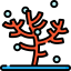 Coral icon 64x64
