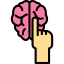 Brain icon 64x64