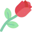 Rose icon 64x64
