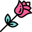 Rose icon 64x64
