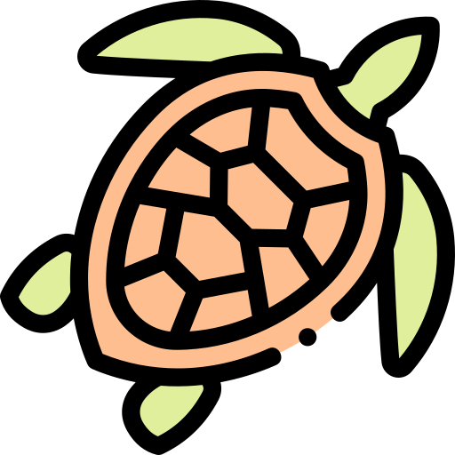 Turtle icon