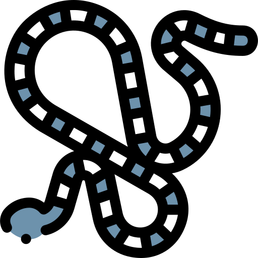 Snake icon