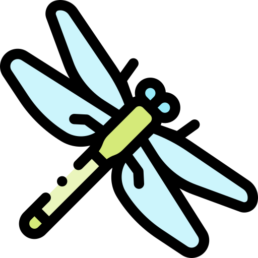 Dragonfly icon