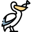 Pelican icon 64x64