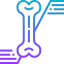 Bone icon 64x64