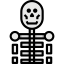 Anatomy icon 64x64