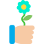 Flower icon 64x64